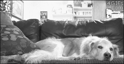 tumblr_mq9o4q2NWX1soljxao1_400.gif