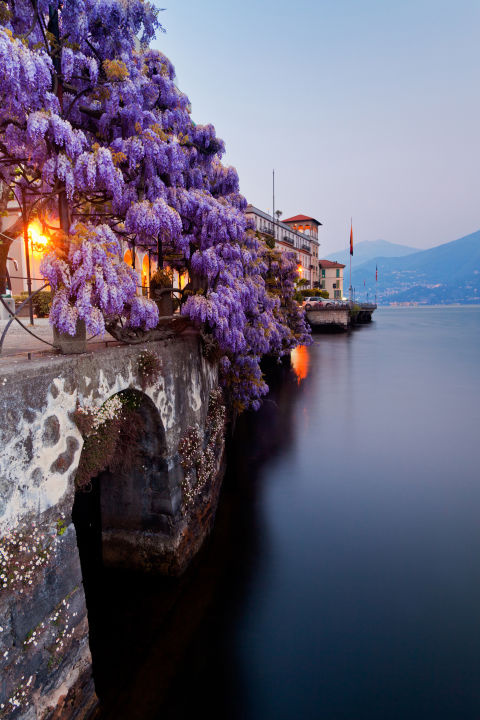 como-gettyimages-118584370.jpg