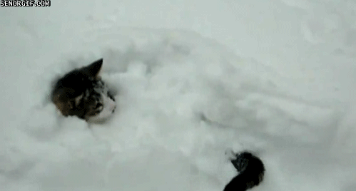 funny-gifs-stuck-in-the-snow.gif