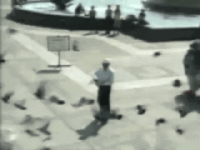 tumblr_n2ebmlANvL1t4o62mo1_400.gif