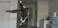 atQvu.gif