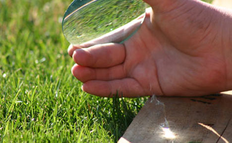 a-magnifying-glass-for-survival.jpg