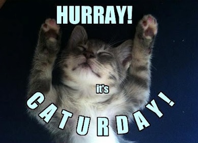 caturday.jpg