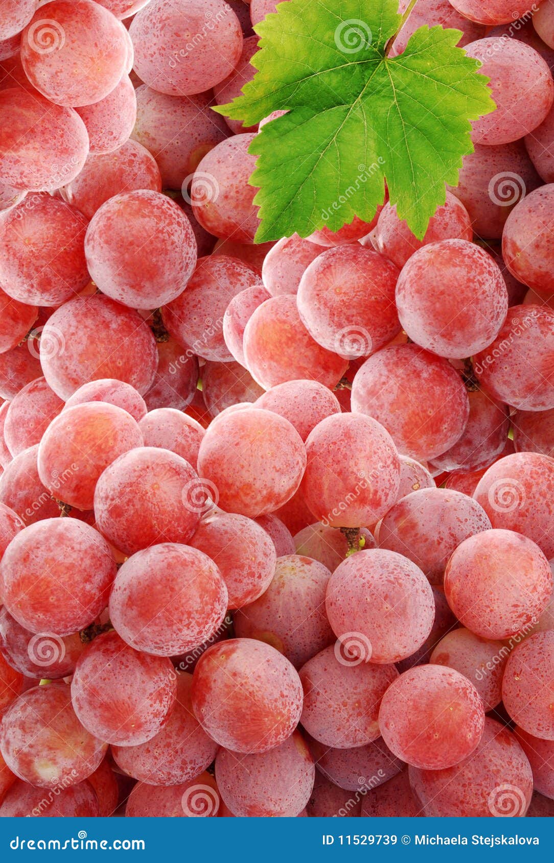 pink-grapes-11529739.jpg