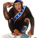 thumbs_bushchimp-2.jpg