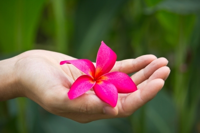 flower-in-hand.jpg