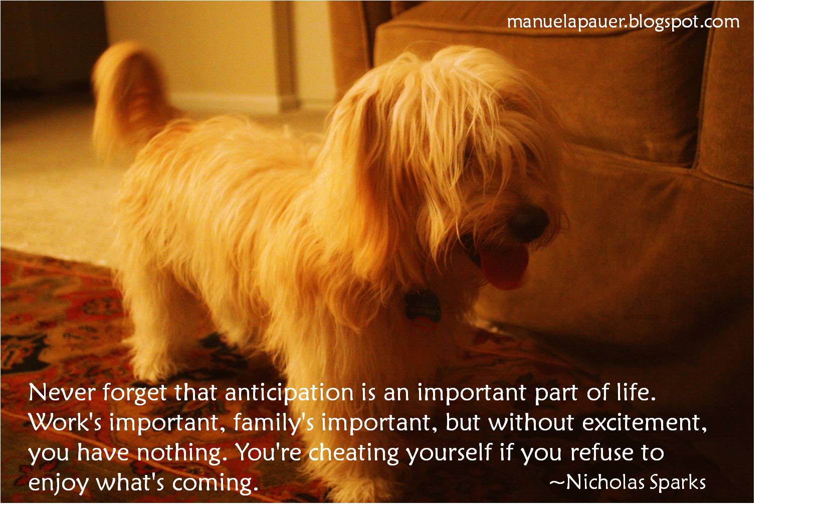Anticipation.jpg