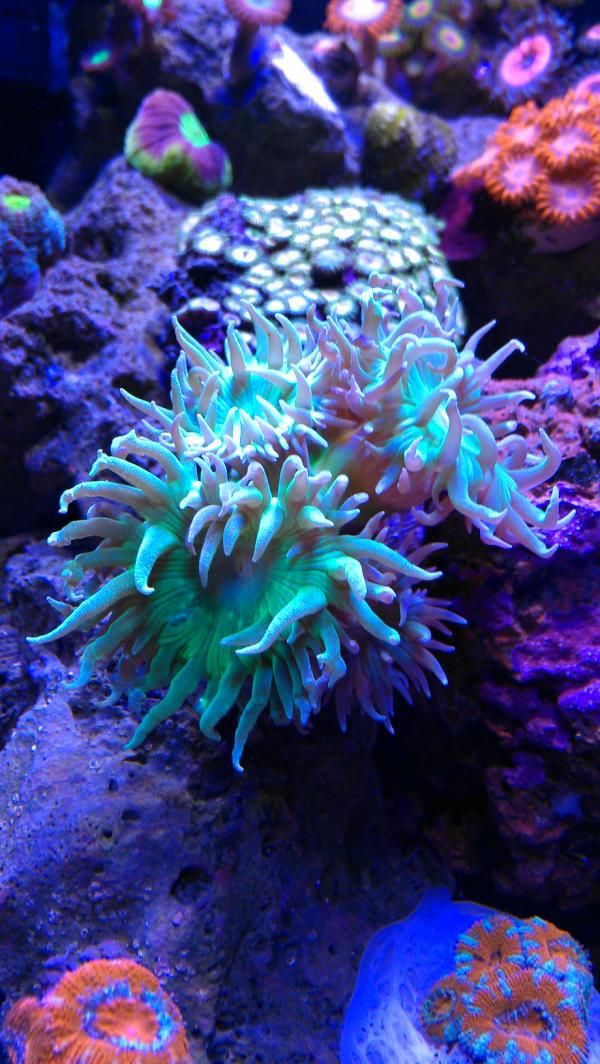 ff02bc09e820c3012f5e73ebab9c4a85.jpg