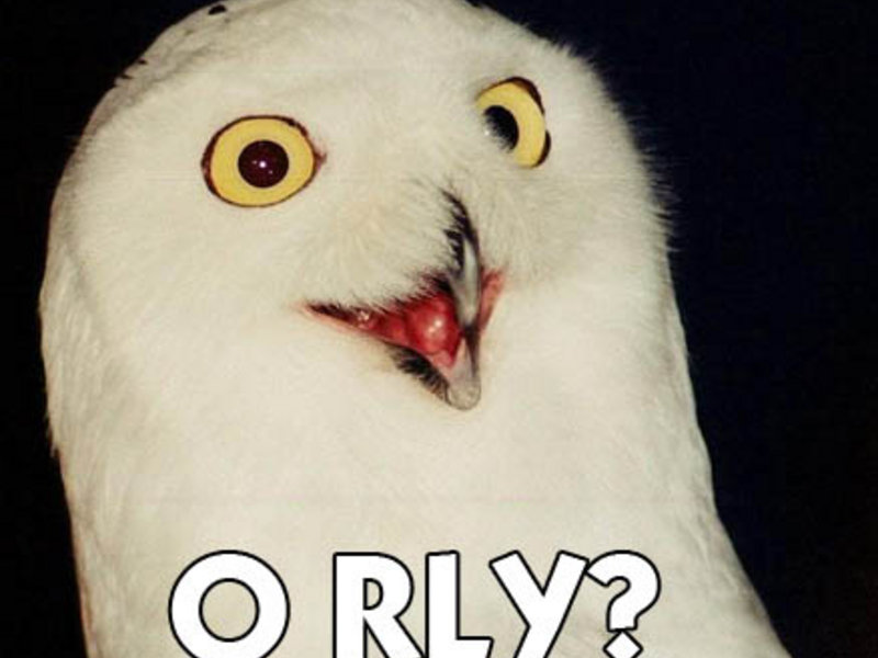 orly-owl_1748741.jpg