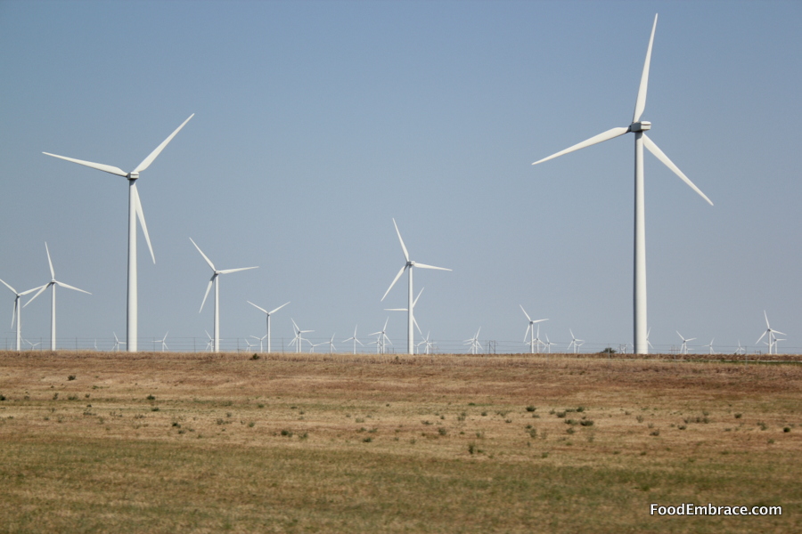 windmills_kansas.jpg
