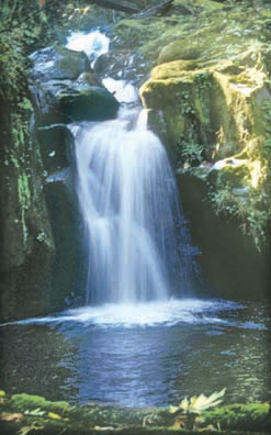 SweetCreekFalls247_0.jpg