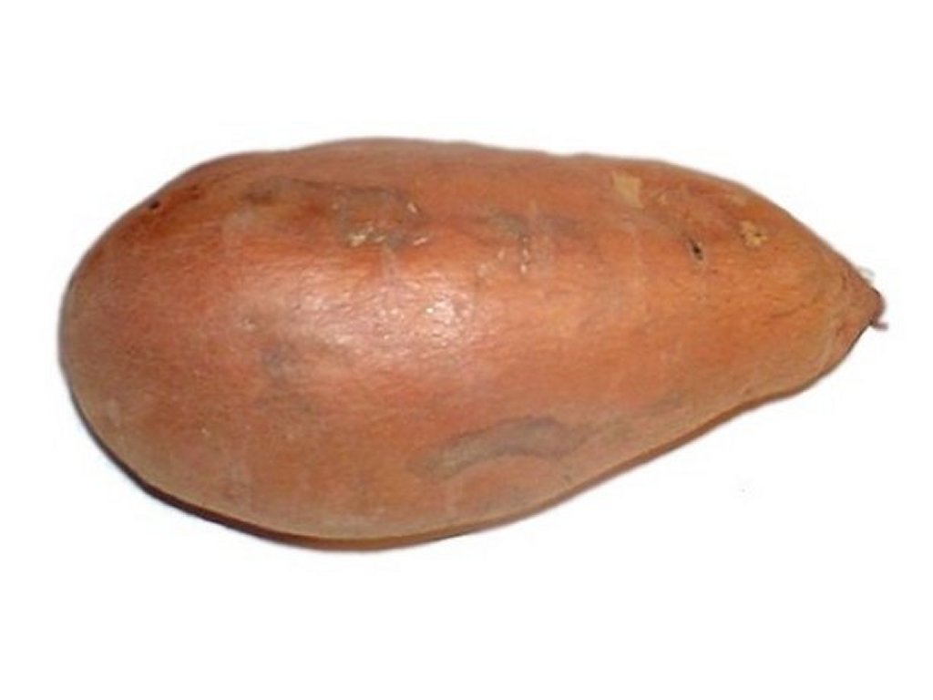 Yam-3.jpg