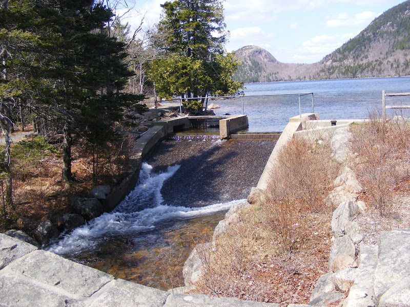 DSCF0262.jpg