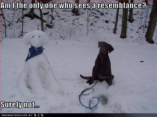 funny-dog-pictures-this-snowman-looks-like-your-dog.jpg