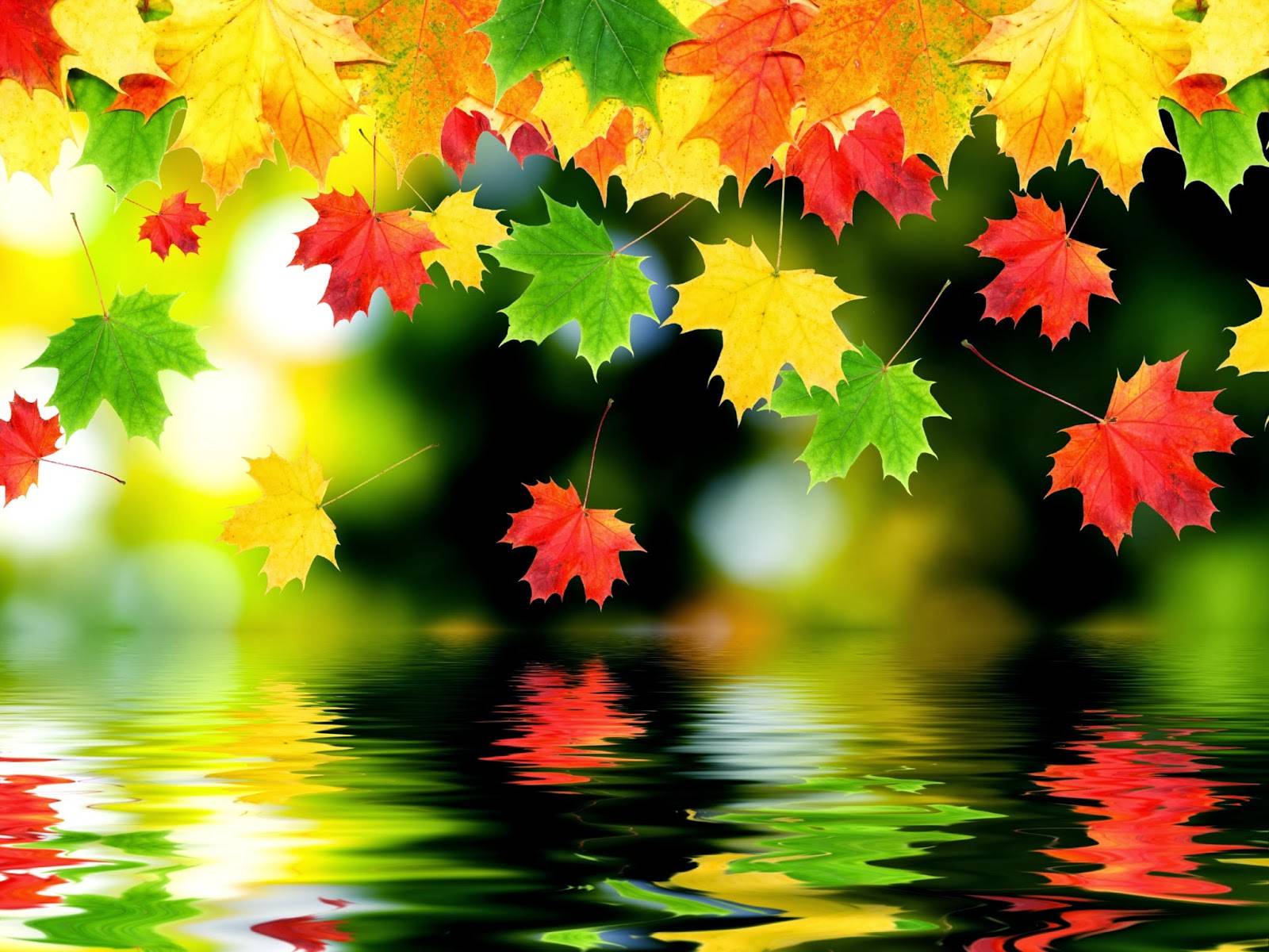 beautiful-autumn-backgroud+122014.jpg
