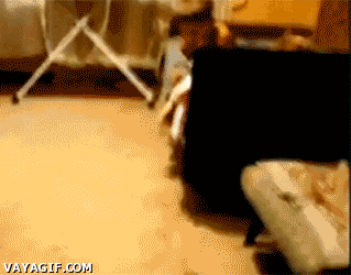 o2y0c.gif