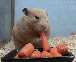 tumblr_n4lcmwJhXE1qzx3jto1_400.gif