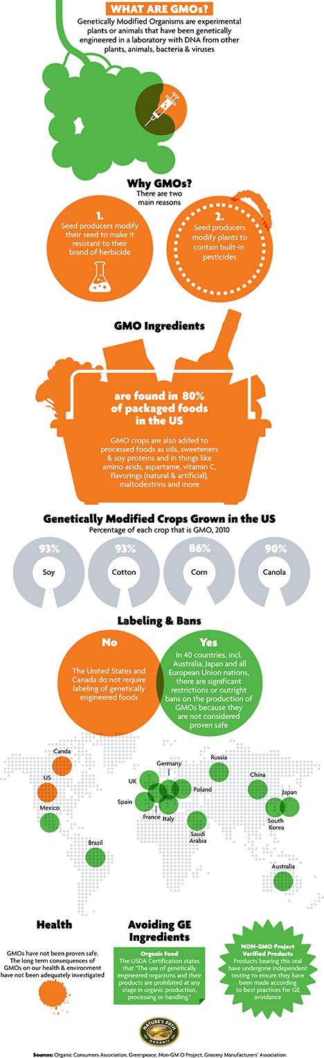 GMO-Infographic.jpg