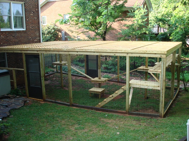 piedmont-triad-cat-enclosure.jpg