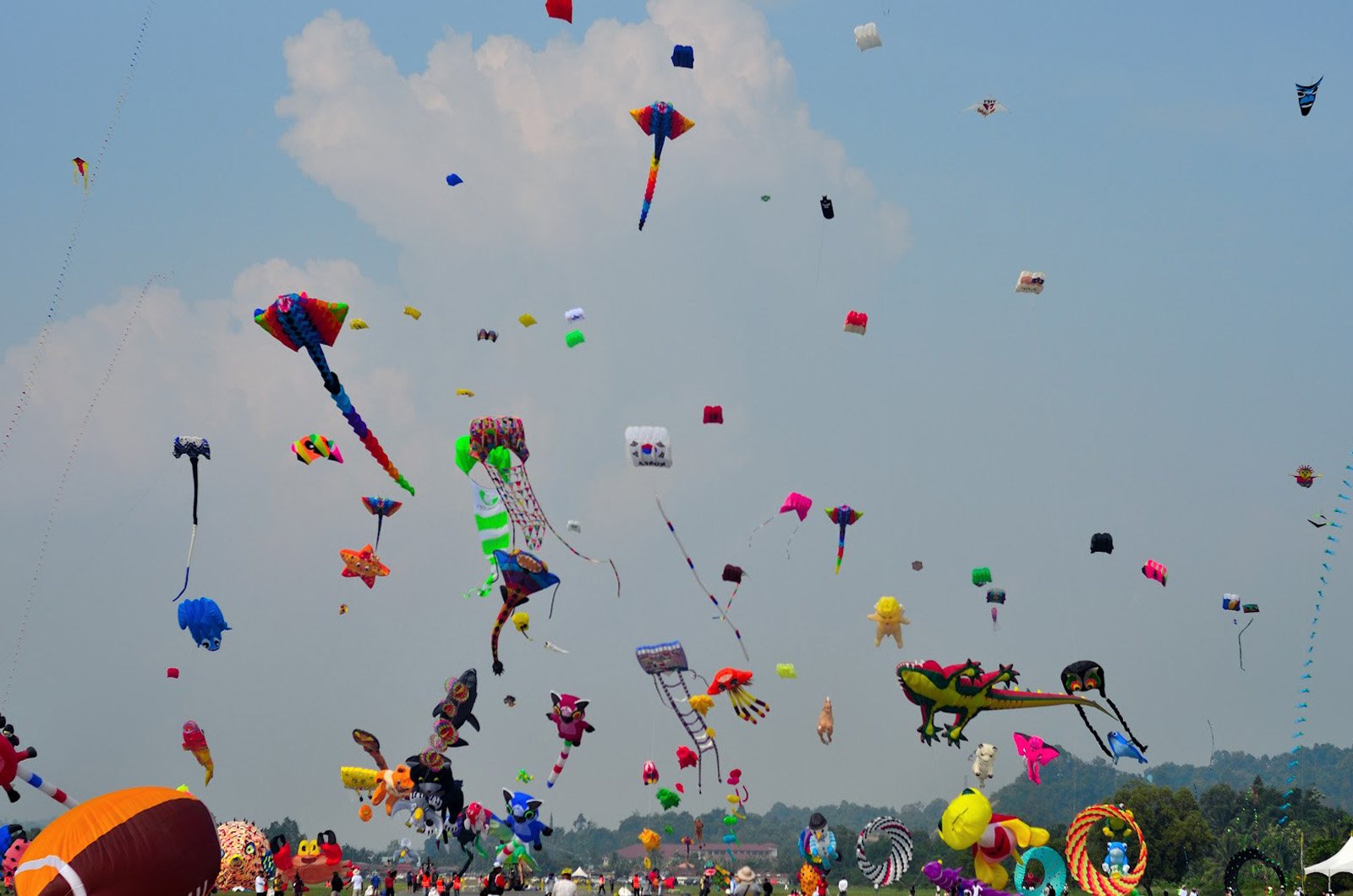 Sky-With-Full-OF-Kites-.jpg