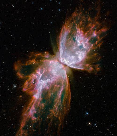 nebula-butterfly.jpg