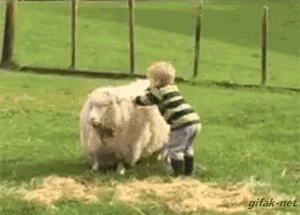 tumblr_ntt0g32Y1u1rlpicfo1_400.gif