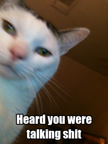 Ov6RNn0.png