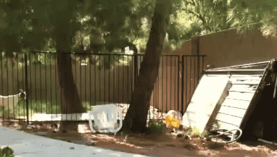 daily_gifdump_5009_08.gif