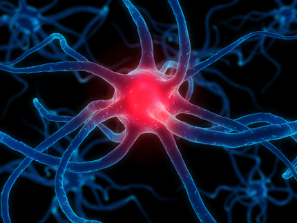 brain-celljpg.jpeg