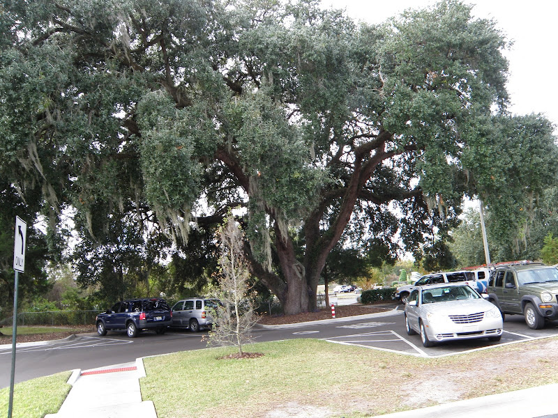 PB302826.JPG