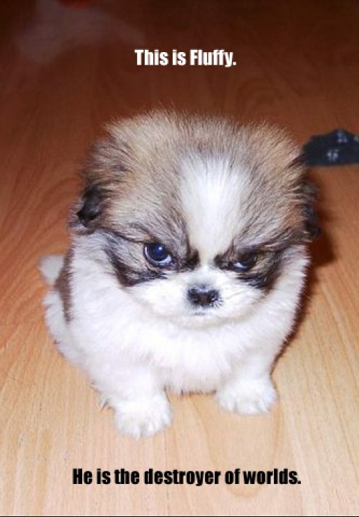 fluffy_destroyer_of_worlds.jpg