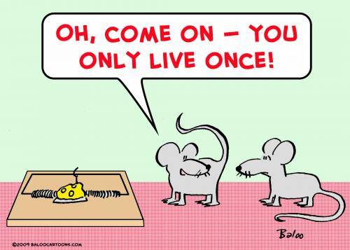 mice_mousetrap_only_live_once_524365.jpg