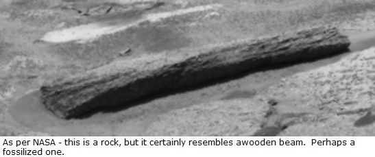 mars_anomaly25.jpg