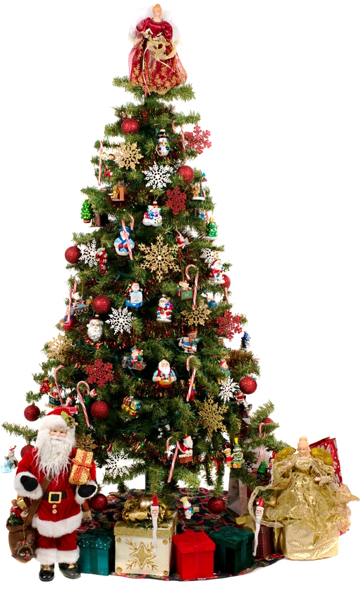 tree-fot02.jpg