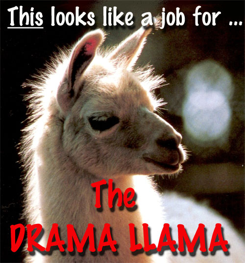 drama_llama.jpg