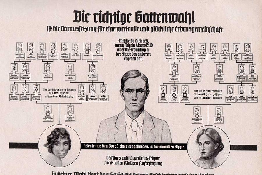 eugenics-german-propaganda.jpg