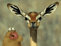 381-1257075770-d280304bdf910a1ebab664e78d595a98.gif