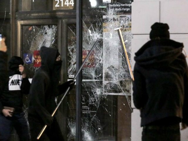 berkeley-milo-smashing-windows-getty-640x480.jpg