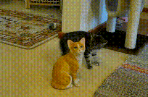 cEFmba0.gif