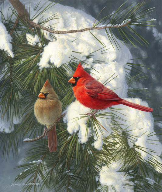 1199%20Cardinals.jpg