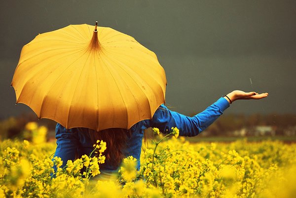 yellow_color_photography_21.jpg