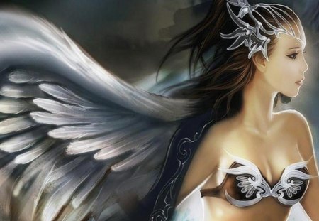 1340770-bigthumbnail.jpg
