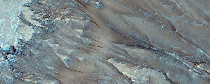 mars-banner.jpg