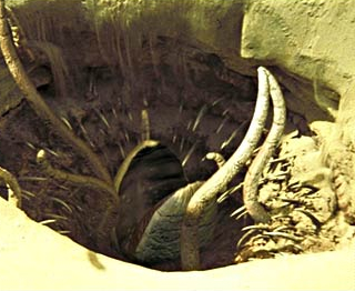 sarlacc.jpg