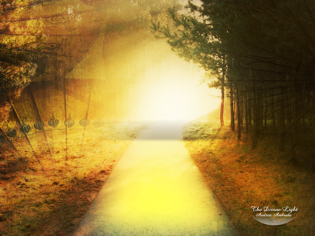Divine_Light_by_Deinha1974.jpg