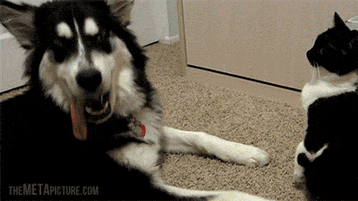 2z28Pqc.gif