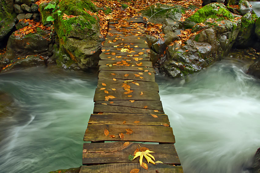 Water-beautiful-nature-23471448-850-567.jpg