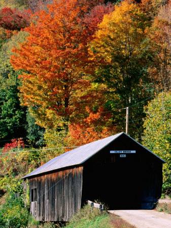 elk-iii-john-autumn-leaves-surrounding-cilley-covered-bridge-vermont.jpg