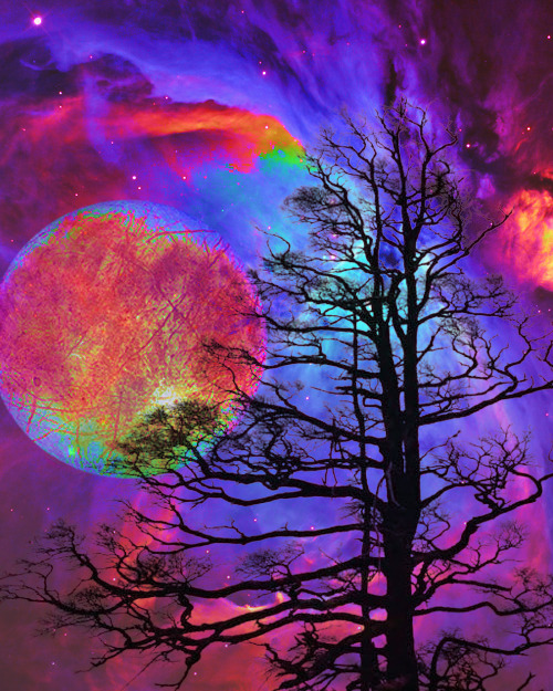 tumblr_m3ihq4W0r91r7ustyo1_500.jpg
