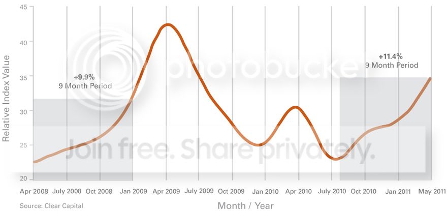 graph_usa_reo_0411.jpg